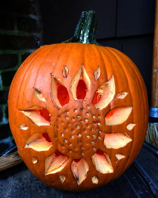 Sun Flower Pumpkin