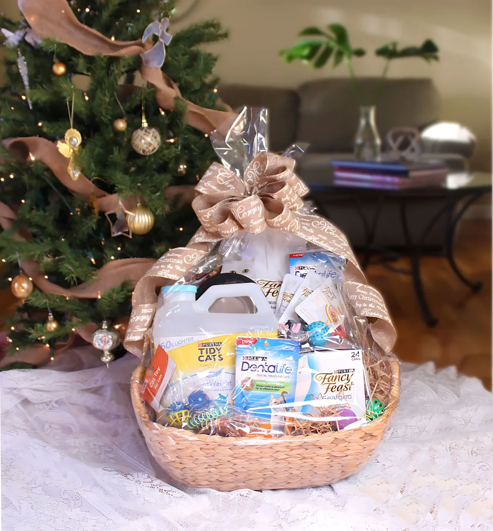 Christmas Gift Basket Ideas 16 - Pet Care Surprise Basket