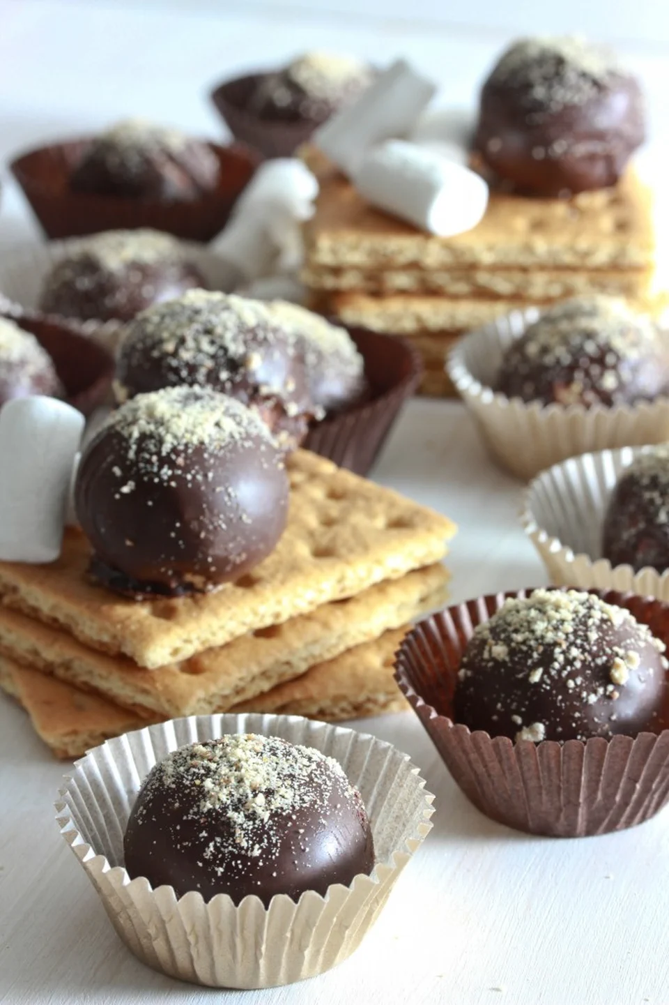 Christmas Truffle Recipes 29 - S’mores Truffles	