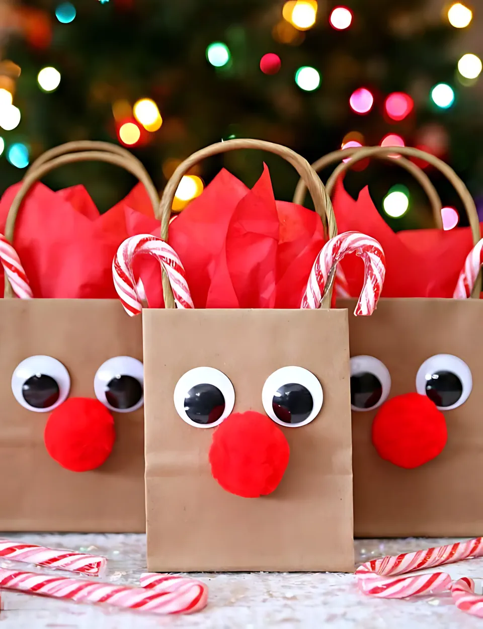 DIY Christmas Gift Wrapping Ideas 26 - Super Cute Bags		